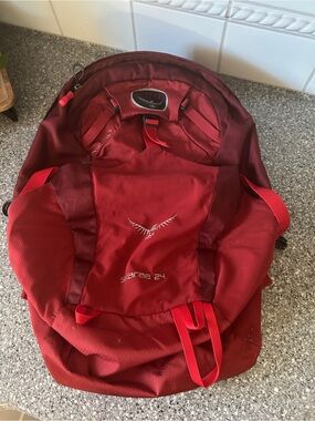 OSPREY Red Skarab 24 Men's Backpack